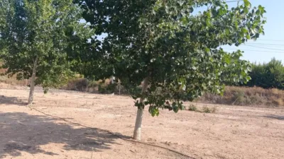 Rustic Finca in Otras photo 20
