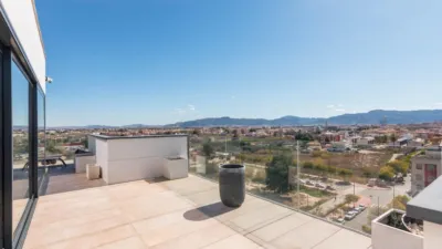 Penthouse on Manuel Sanchez Baena Man Street photo 31