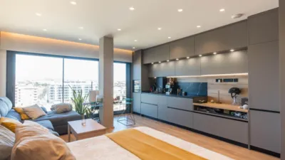 Penthouse on Manuel Sanchez Baena Man Street photo 45
