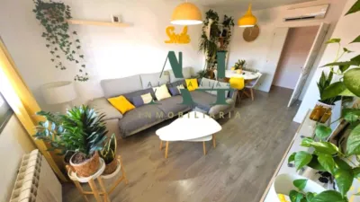 Apartment in Nuevo Cáceres photo 5