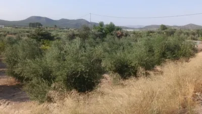 Rustic Finca in Otras photo 6