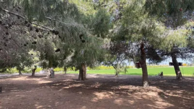 Terreno en venta en Camino de San Fulgencio - Vista 4