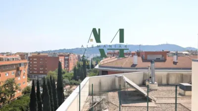 Apartment in Nuevo Cáceres photo 43