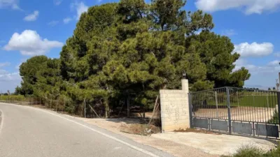 Terreno en venta en Camino de San Fulgencio - Vista 2