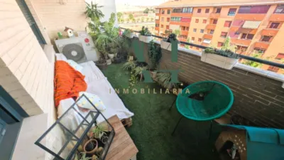 Apartment in Nuevo Cáceres photo 13