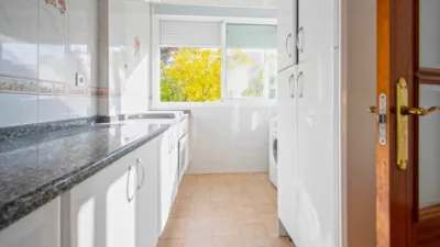 Apartment in San Pablo photo 8