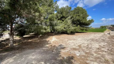 Terreno en venta en Camino de San Fulgencio - Vista 3