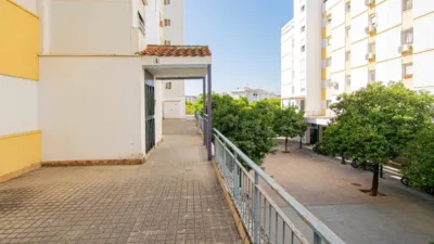 Apartment in San Pablo photo 28