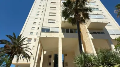Apartment on Calle de la Dorada photo 36