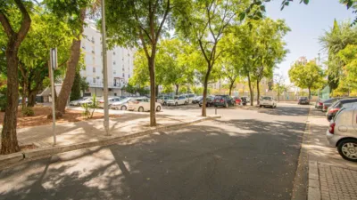 Apartment in San Pablo photo 24