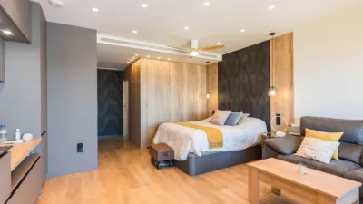 Penthouse on Manuel Sanchez Baena Man Street photo 50