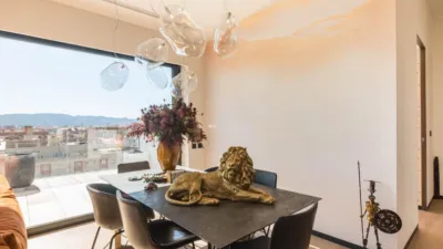 Penthouse on Manuel Sanchez Baena Man Street photo 5
