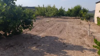 Rustic Finca in Otras photo 17
