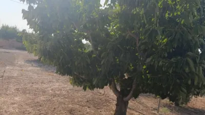 Rustic Finca in Otras photo 18