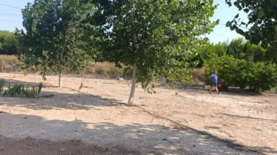 Rustic Finca in Otras photo 19