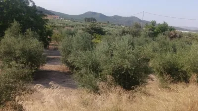 Rustic Finca in Otras photo 7