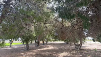 Terreno en venta en Camino de San Fulgencio - Vista 5