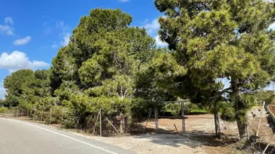 Terreno en venta en Camino de San Fulgencio - Més