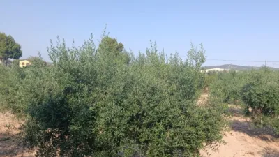 Rustic Finca in Otras photo 9