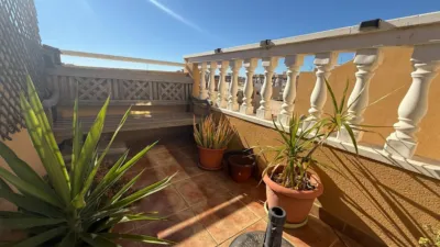 Duplex in Residencia San Francisco photo 25