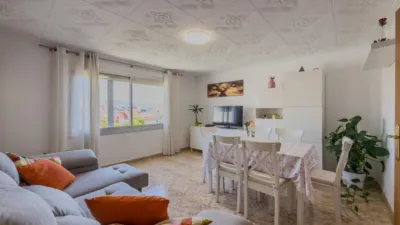 Apartment on Carrer de l'Agricultura photo 9