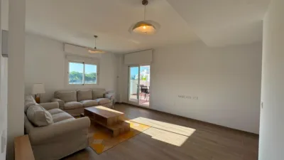 Apartment in Costa Ballena photo 19