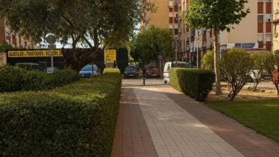 Apartment in Pasaje de Triana D photo 21