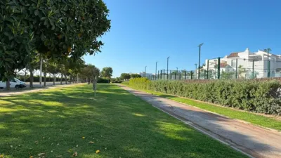 Apartment in Costa Ballena photo 39