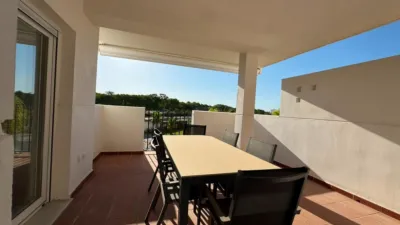 Apartment in Costa Ballena photo 21
