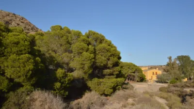 Rustic Finca in El Labradorcico photo 21