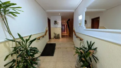Apartment on Azorín Street photo 24