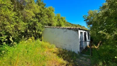 Rustic Finca on Carretera Zahara de La Sierra -Grazalema photo 35