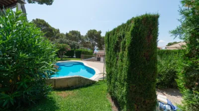 Apartment in Port Dalcúdia - Platja Dalcúdia photo 30