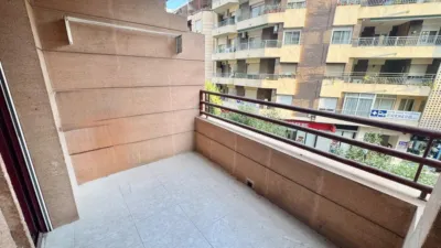 Pis – Orihuela, Obispo Rocamora - Vista 2