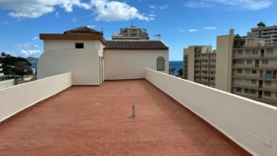 Apartment in Puerto photo 19