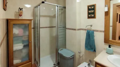 Apartment on Leandro Fernández de Moratín Street photo 30
