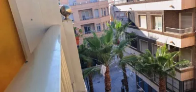 Pis – Torrevieja - Vista 4