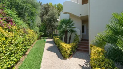 Apartment in Port Dalcúdia - Platja Dalcúdia photo 49