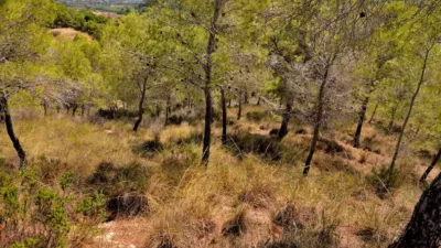 Terreno en venta en Calle Sogai - Vista 4