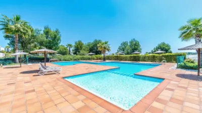 Penthouse on Avenida de las Colinas photo 50