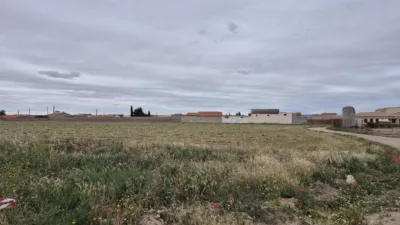 Miniatura 8