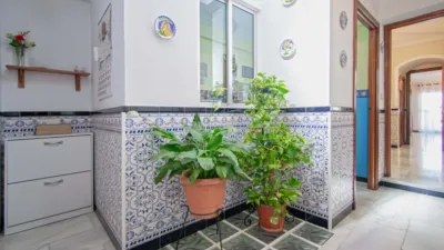 Apartment in Torreblanca photo 19