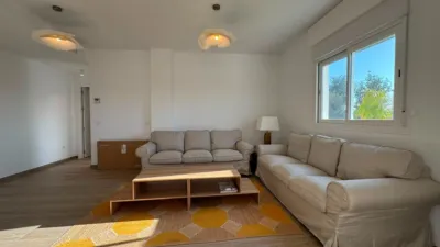 Apartment in Costa Ballena photo 12