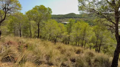 Terreno en venta en Calle Sogai - Vista 5