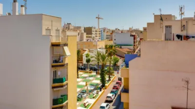 Pis – Torrevieja - Vista 2