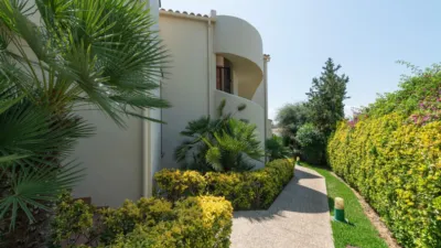 Apartment in Port Dalcúdia - Platja Dalcúdia photo 51