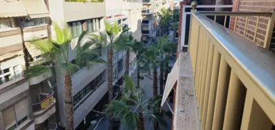 Pis – Torrevieja - Més