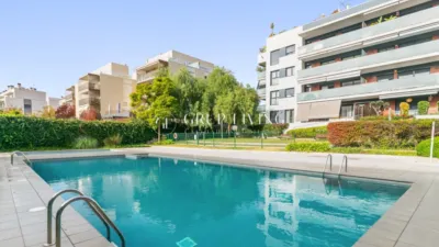 Apartment in La Plana photo 20