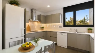 Apartment in La Plana photo 9