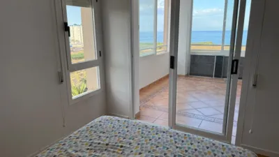Apartment in Playa Muchavista photo 13